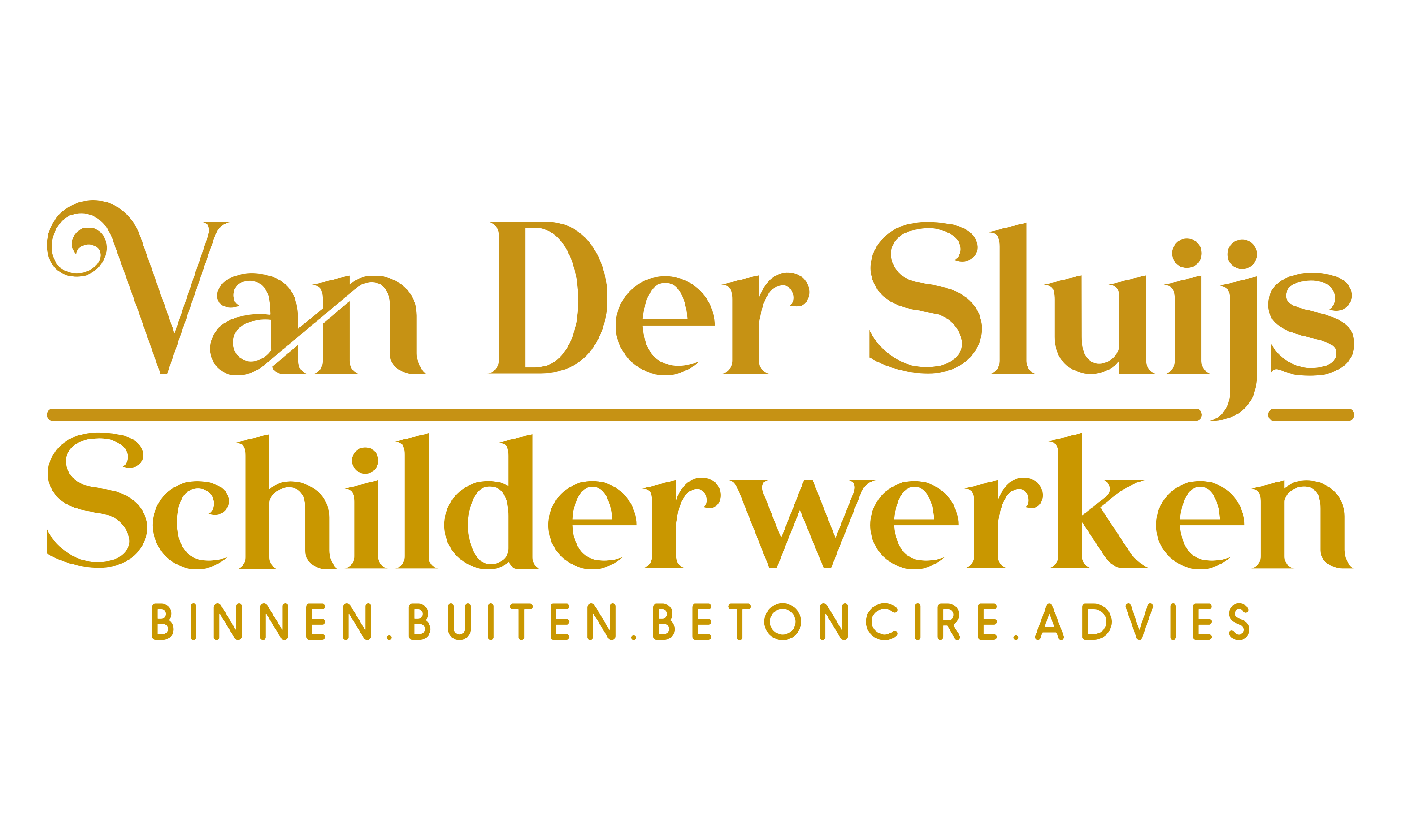 Van der Sluijs Schilderwerken